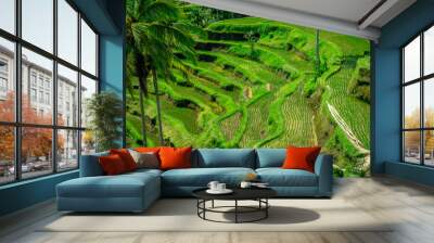 The most dramatic and spectacular rice terraces in Bali can be seen near the village of Tegallalang, in Ubud Indonesia Wall mural