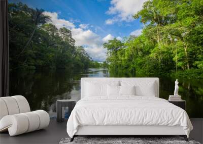 Travelling by boat into the depth of Amazon Jungles in Cuyabeno National Park, Ecuador Wall mural