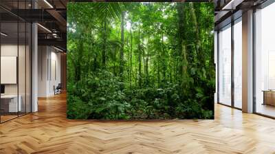 Tropical Rainforest Landscape, Amazon Wall mural