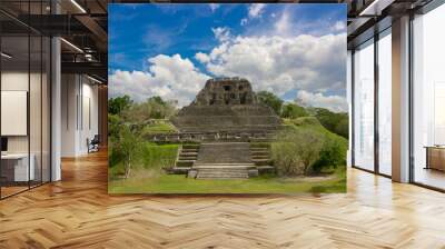 xunantunich maya site ruins in belize Wall mural