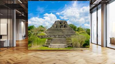 xunantunich maya site ruins in belize Wall mural