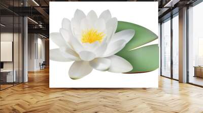 Realistic water lily Wall mural