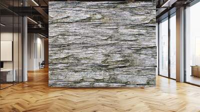 Wood texture with light gray color and natural rough surface details close-up Wall mural