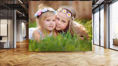 portrait of two happy little sisters on green grass Wall mural