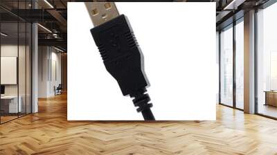 MICO USB CABLE isolated on white background  - Image Wall mural