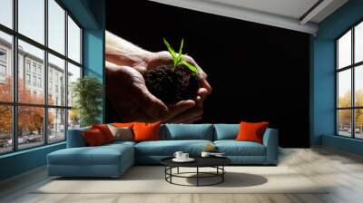 world environment day concept:the mans hand holding a small tree. two hands holding a light green tr Wall mural