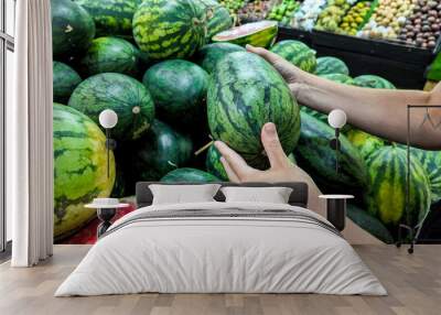 Person selecting fresh watermelons at a local farmers market, depicting healthy eating and summer harvest, ideal for National Watermelon Day promotions Wall mural