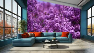 beautiful lilac closeup Wall mural