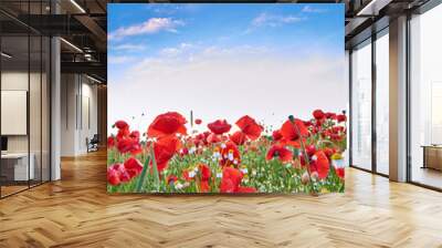 poppies on field in sunset Wall mural