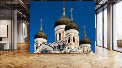 view on Alexander Nevsky Cathedral of capital of estonia Tallinn the famous medieval town Wall mural