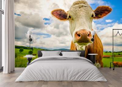 funny cow Wall mural