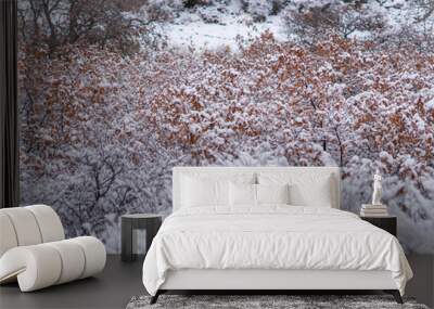 snow covered branches Wall mural