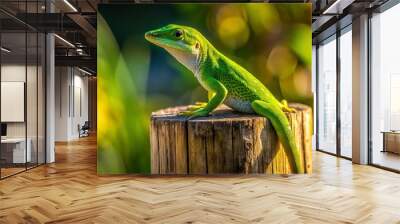 A bright green anole lizard perches on a weathered wooden fence post, its scaly skin glistening in the Wall mural