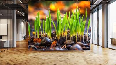 Close-up of lush green grass blades sprouting from damp, dark soil, with scattered tiny rocks and fallen leaves, evoking a sense of natural serenity. Wall mural