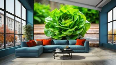 Fresh crisp head of lettuce with delicate green leaves and a compact white core, sitting on a rustic wooden table against a soft natural background. Wall mural