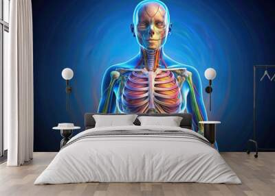 Illuminated 3D anatomical illustration of a female human body, showcasing internal organs and skeletal system with vivid colors and detailed medical accuracy. Wall mural