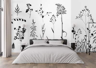 Big floral collections of black silhouettes of meadow herbs, floral backgrounds and wreaths. Wildflowers. Wild grass. Floral elements for your design Wall mural