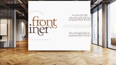 Frontliner premium luxury elegant alphabet letters and numbers. Elegant wedding typography classic serif font decorative vintage retro. Creative vector illustration Wall mural