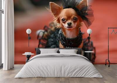 Charming chihuahua dazzles in dog fashion show with style and elegance on the red carpet Wall mural