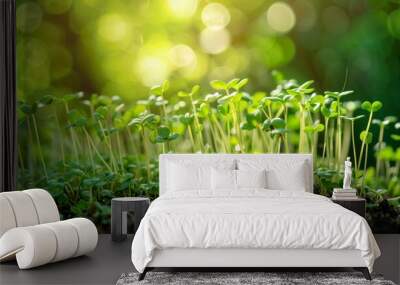 Young sprouts of microgreens growing in soil against a blurred green background, symbolizing organic farming and healthy food Wall mural