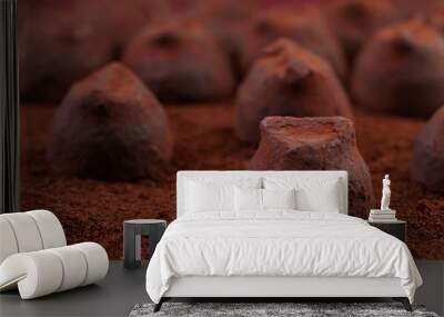 chocolate truffles Wall mural