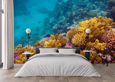 coral reef Wall mural