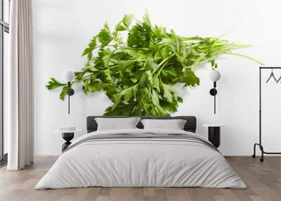 Fresh Vegetables, parsley Wall mural