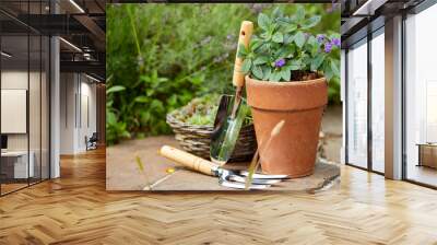 gardening tools and plants in the garden Wall mural