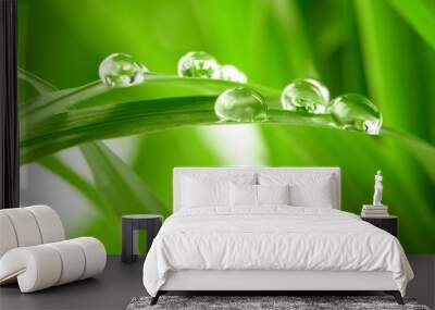 water drops on the green grass Wall mural