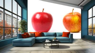 different apple varieties on white background
 Wall mural