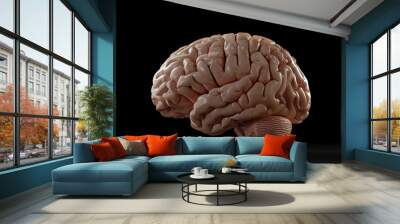 Realistic rendering of the human brain, showing frontal, parietal, and occipital lobes Wall mural