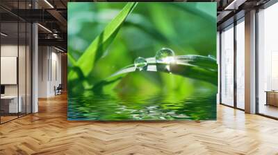 green background with grass Wall mural