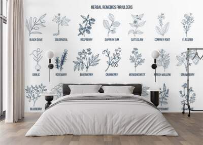 Best medicinal herbs for ulcers Wall mural