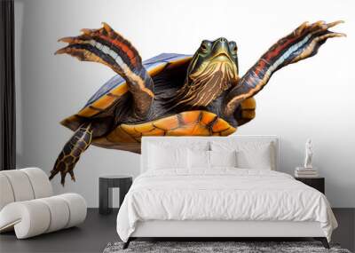 painted turtle pet swimming on isolated background Wall mural