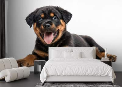 Rottweiler puppy smiling while relaxing on isolated background Wall mural