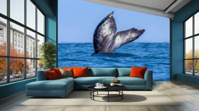 humpback's fluke, humpback's tail Wall mural