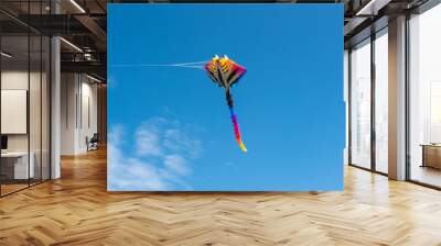 Colorful Kites flying over the sky Wall mural