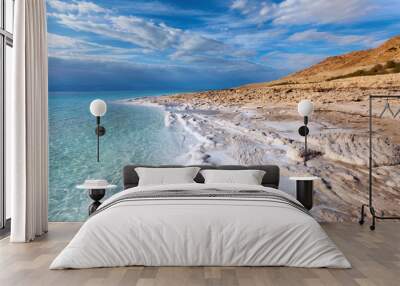 View of Dead sea coastline Wall mural