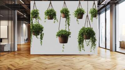 Set of hanging ivy plants on pot isolated on transparent background Wall mural