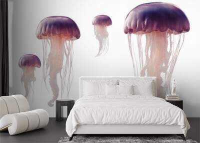 Set of jellyfish isolated on transparent background Wall mural