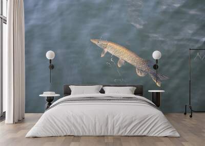 Fishing A Pike Wall mural