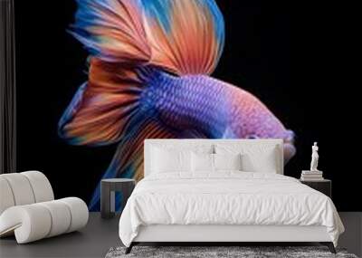 Beautiful, colorful betta fish on a black background, with dynamic movement Wall mural