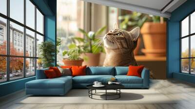 A curious cat looking up at house plants near a sunlit window, creating a serene and natural indoor scene Wall mural