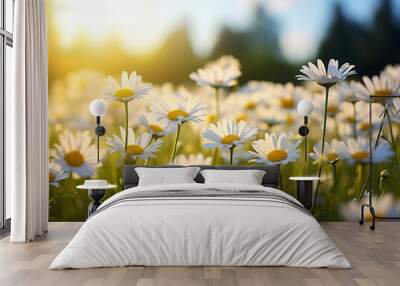 beauty of a summer field adorned with daisies Wall mural