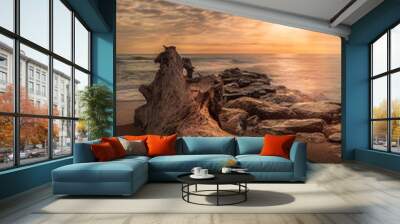 Tree Trunk And Root At Seashore Sunset Wall mural