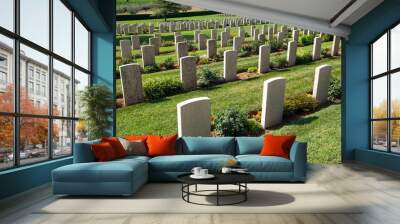 World War 2 English military cemetery  torino di sangro abruzzo  Wall mural