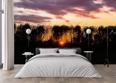 Scenic Po river woods countryside cloudy sunset, Emilia Romagna, Italy Wall mural