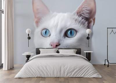 a white cat with blue eyes staring at the camera on white background generative ai Wall mural