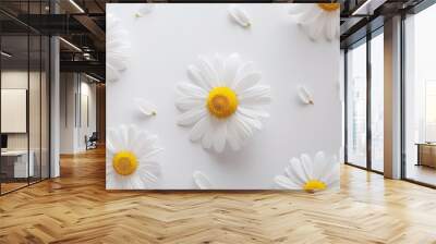 chamomile daisy flowers on white background. generative ai Wall mural