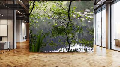 Tree leaves and water reflection Wall mural